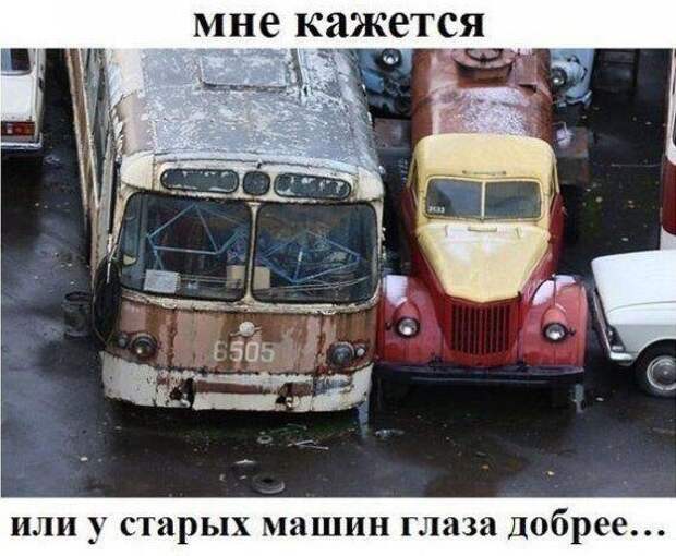 Немного веселых картинок