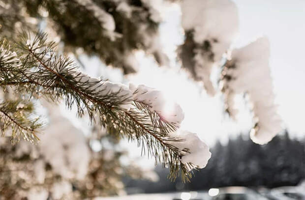 Прогноз погоды на 9 января