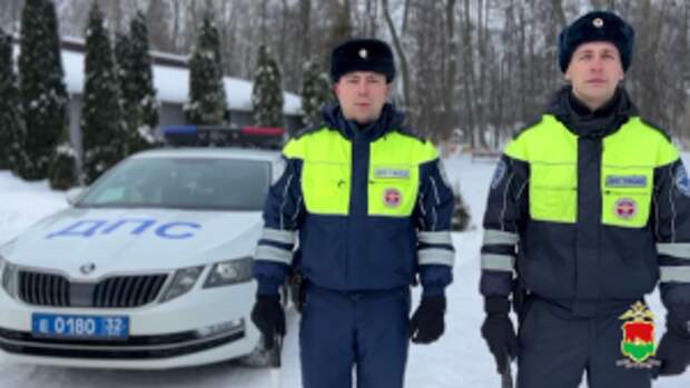 Полицейские из Брянска помогли семье с детьми, чья машина в мороз заглохла на трассе по пути в Москву