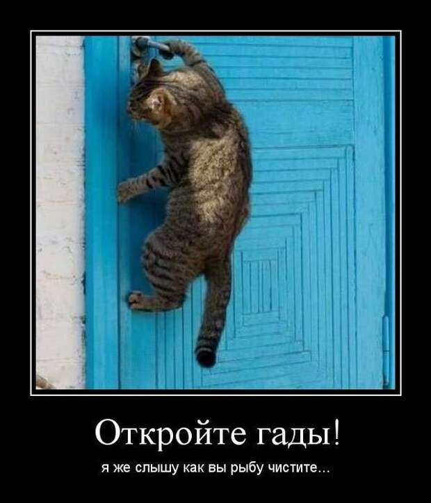 Демотиваторы (20 фото)