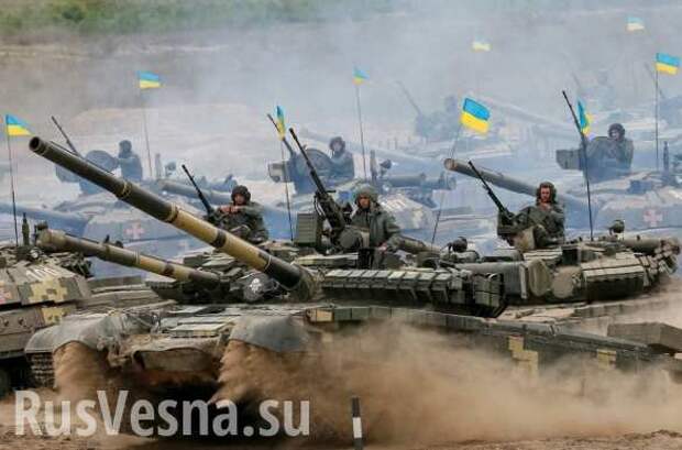В Сети высмеяли украинского журналиста, призвавшего ввести войска в Россию | Русская весна