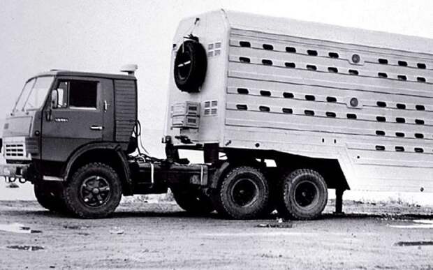 Вопрос на засыпку: для чего служил этот гигантский прицеп?