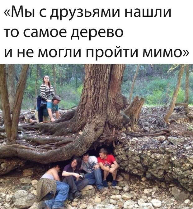 Смешные картинки 29 октября 2021 года