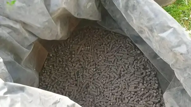 Правила ухода за гортензией