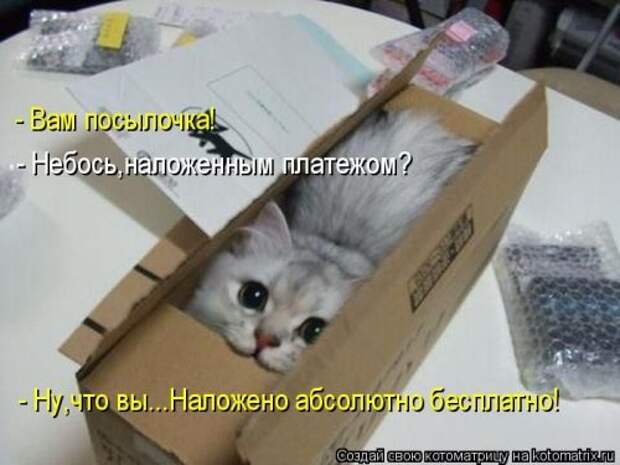 Прикольная котоматрица за неделю