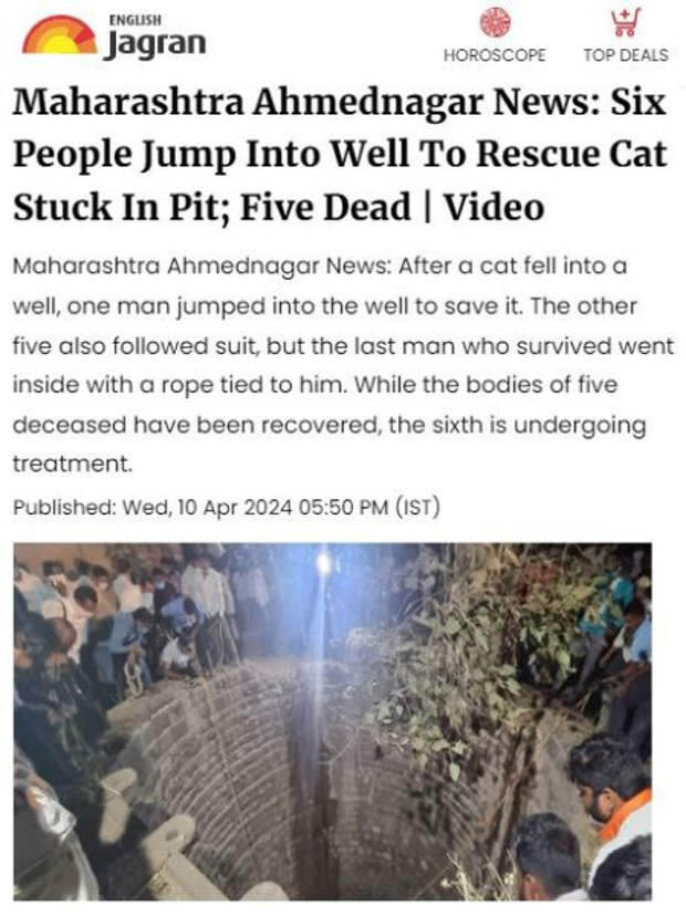 В Индии 6 человек прыгнули в колодец, спасая кошку. Пятеро утонули.