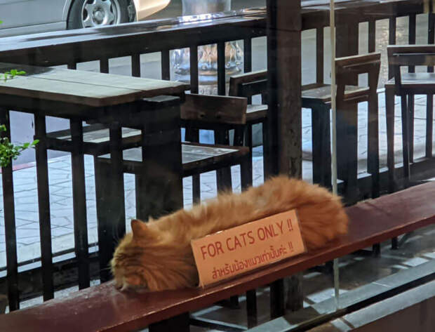 приколы 2021