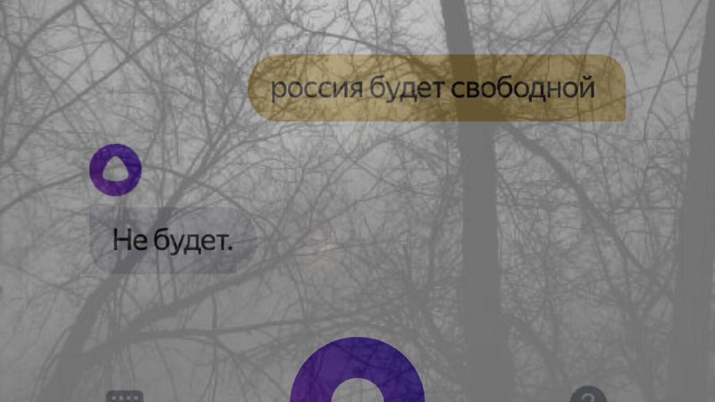 В сети активно тестируют голосовой помощник 