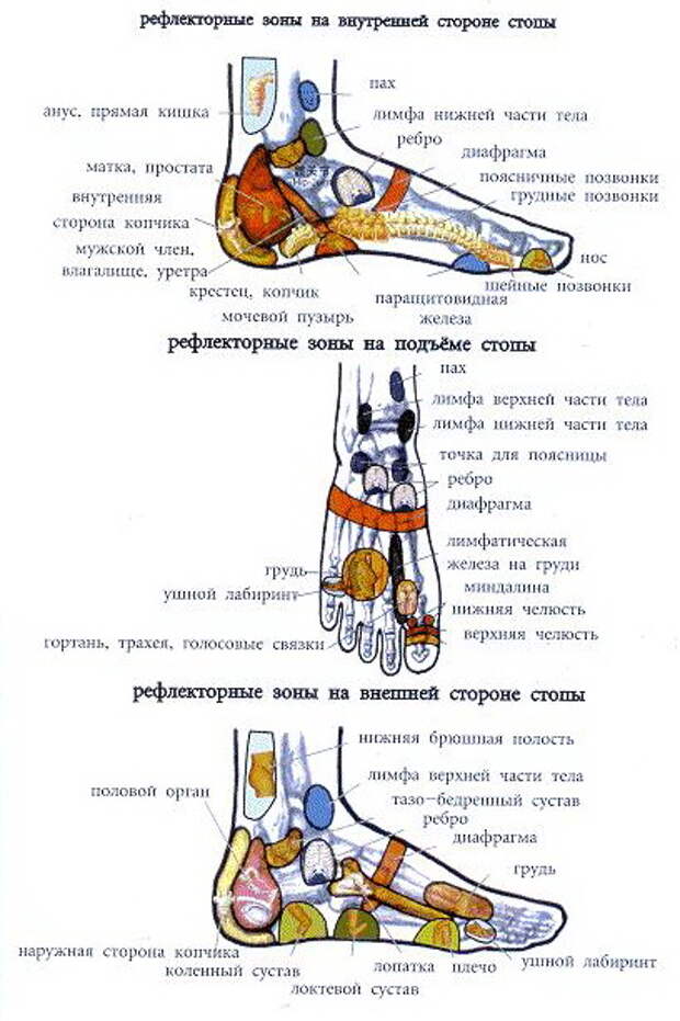 ref_zon (408x613, 95Kb)