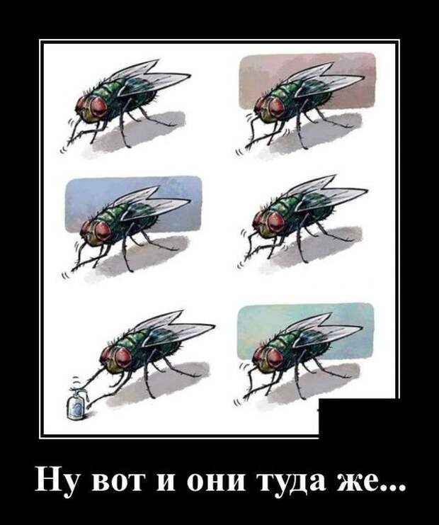 demotivatory-demotivator-smeshnye-demotivatory-demotivator-so-smyslom