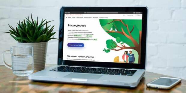 Москвичи забронировали более двух тысяч саженцев по проекту «Наше дерево». Фото: mos.ru