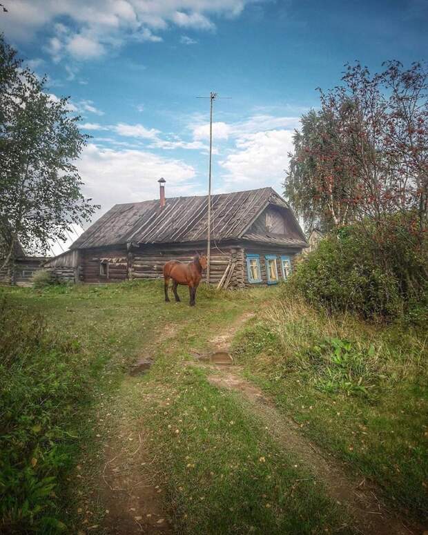 25 фотографий русской деревни, которые вернут вас в детство 25 фотографий русской деревни, которые вернут вас в детство деревня, детство, ностальгия, русская деревня