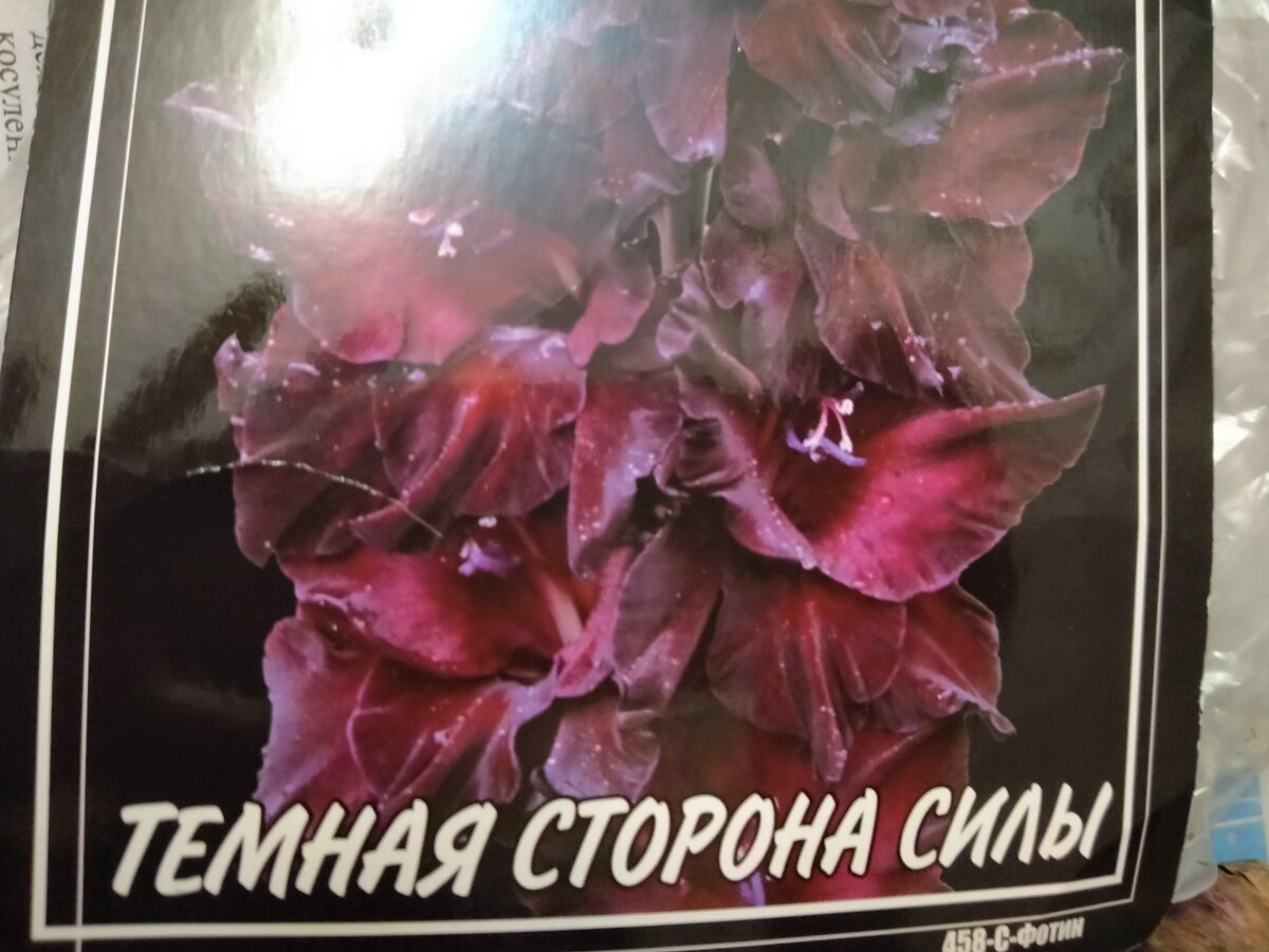 Зашла в магазин для садоводов и не ушла без покупок, хоть цены и кусаются
