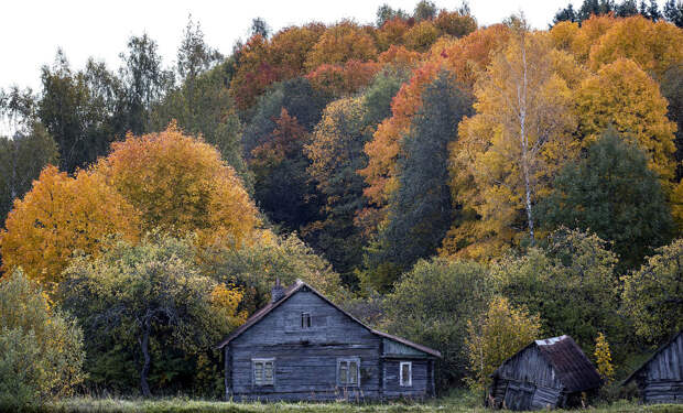 Осень возле маленького городка Игналина, Литва