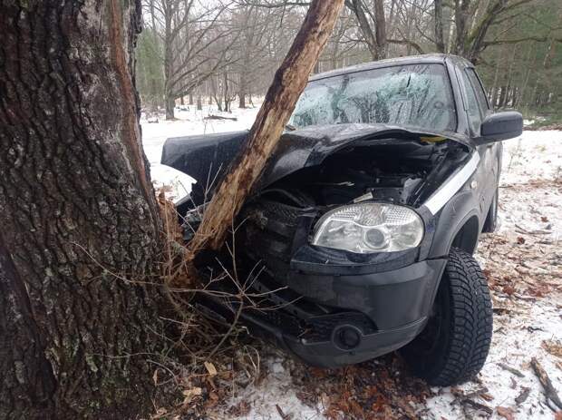 В Ряжском районе Chevrolet Niva врезалась в дерево, пострадали 2 человека