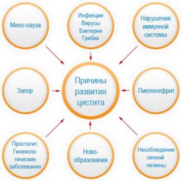 Цистит вылечить непросто, но эти рецепты точно помогут! Вылечились люди без таблеток, и вы сможете!