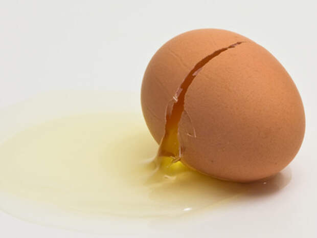 Ядовитые яйца. 50 Яиц. Яйцо Нерехтское. Яйца несъедобные. Яйцами можно отравиться