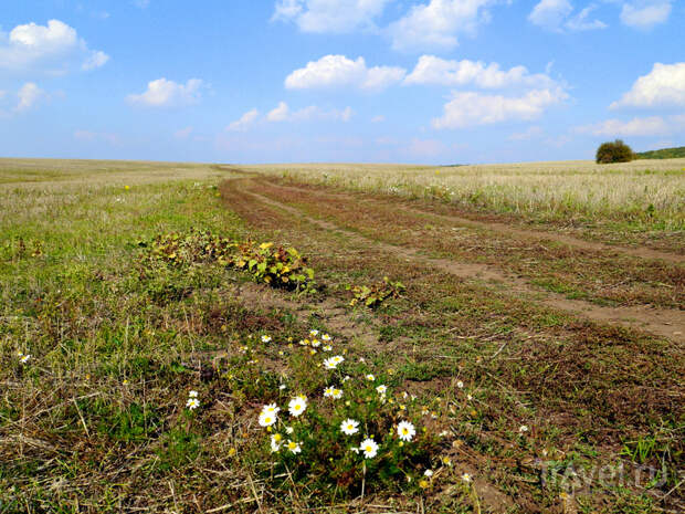 Самарская Заволга на велосипеде или бабье лето в самом разгаре / Фото из России