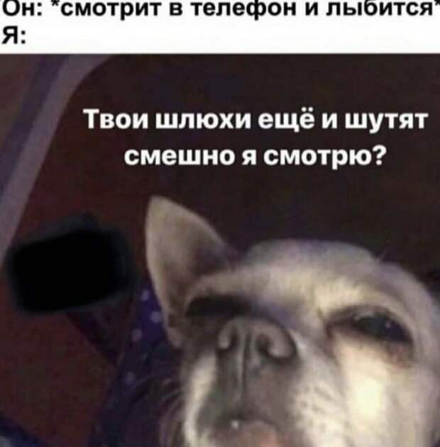 Лучшие шутки и мемы из Сети