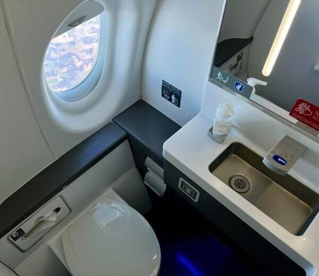 "В новых самолетах авиакомпании Delta есть иллюминатор в уборных"