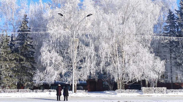 До -24. О погоде в Барнауле 14 января