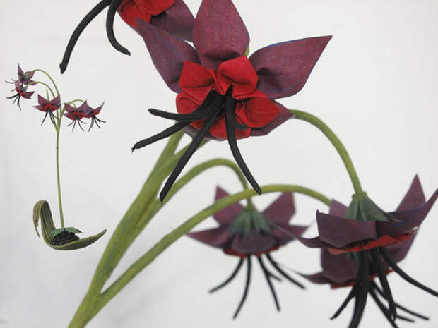 Удивительные цветы и маленькие деревья – направление работ мастера оригами Бенджамина Колмана