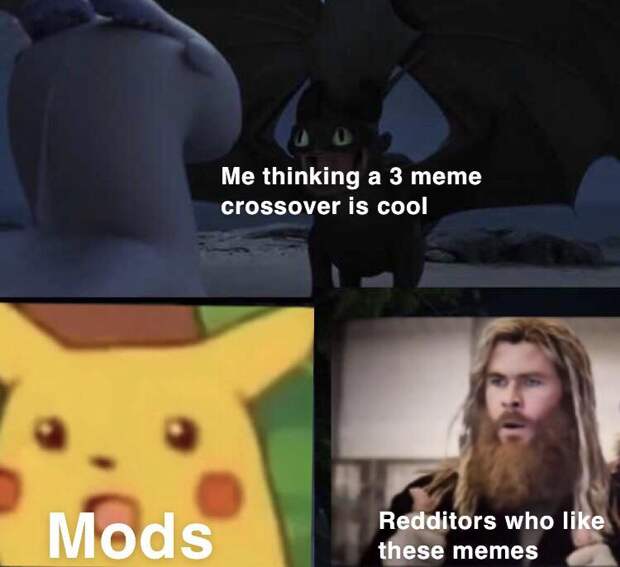 Toothless dragon and Light Fury memes