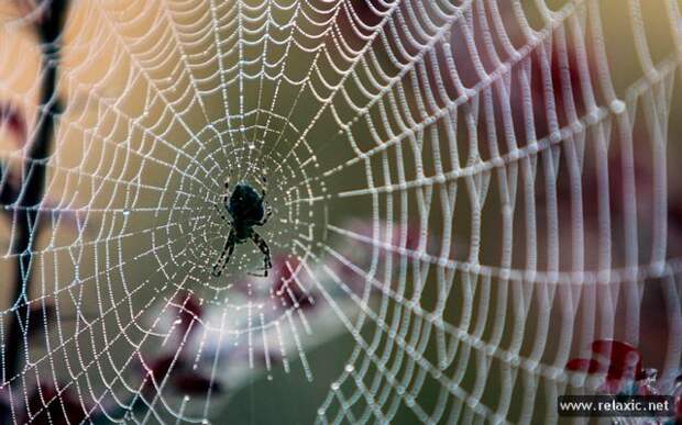 october_031 october_031