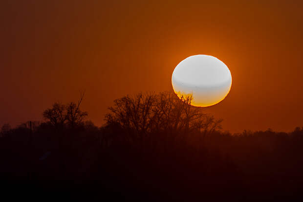 Астрономическая весна наступила в Новосибирске в пятницу 20 марта