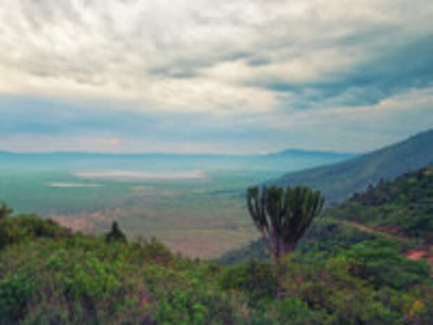 Клуб путешествий Павла Аксенова. Танзания. Ngorongoro crater. Фото Yakov_Oskanov - Depositphotos