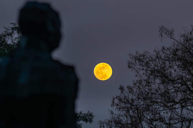 РИА Новости: астроном Алексеев рассказал, что в мае произойдут два полнолуния