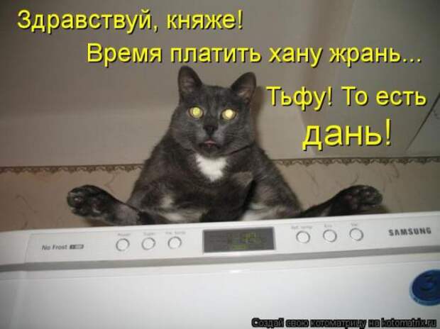 Котоматрицы (картинки с надписями)