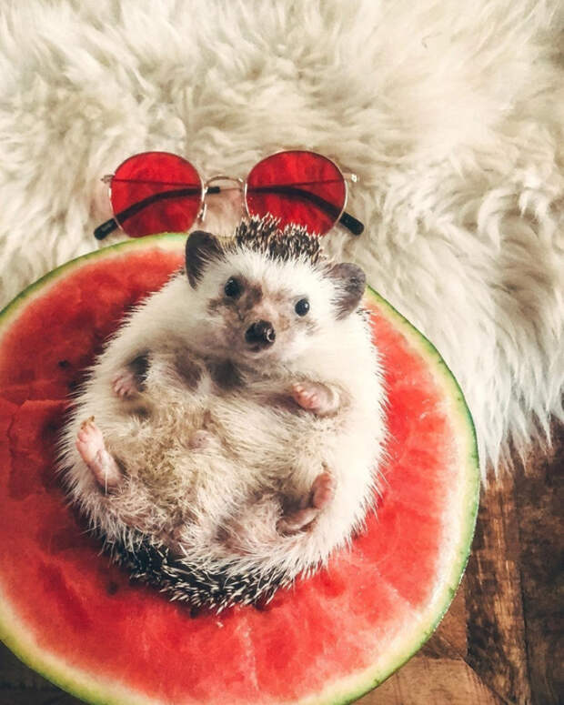 1_nwNmaLRgk (560x700, 422Kb)