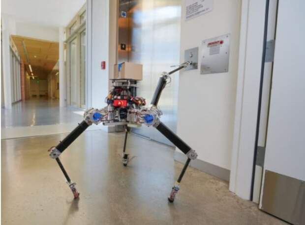 Робот с гибкими ногами VS роботов Boston Dynamics