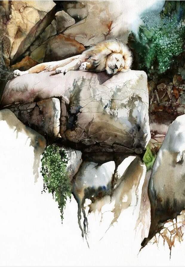 Peter Williams. Анимализм в акварели. Power Nap. Бумага,акварель. 22x16 дюймов