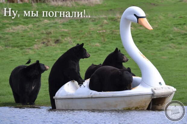 Ну, мы погнали