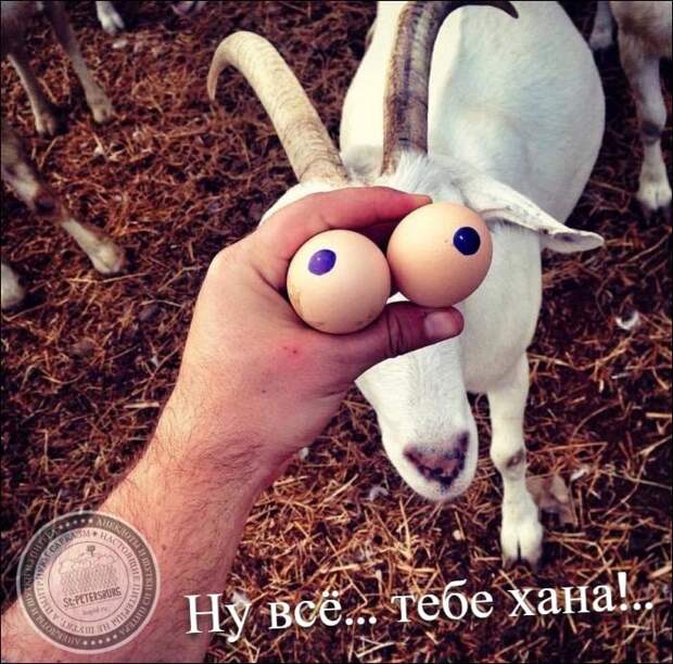 Ну, все… тебе хана!..