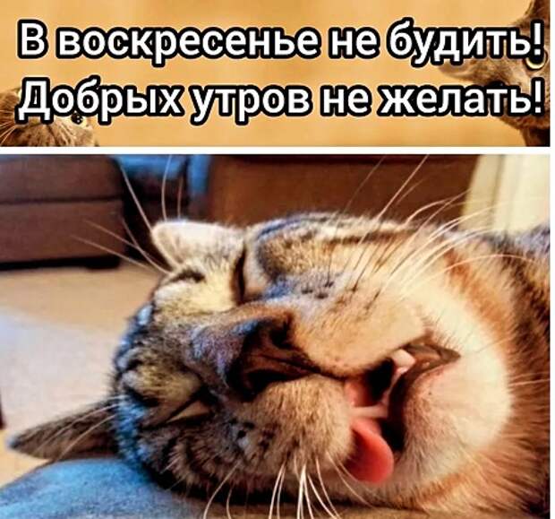 Ты меня не поправляй! Я не трусы....