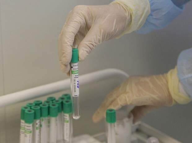 Минздрав включил тест на ВПЧ в первый этап диспансеризации для россиянок