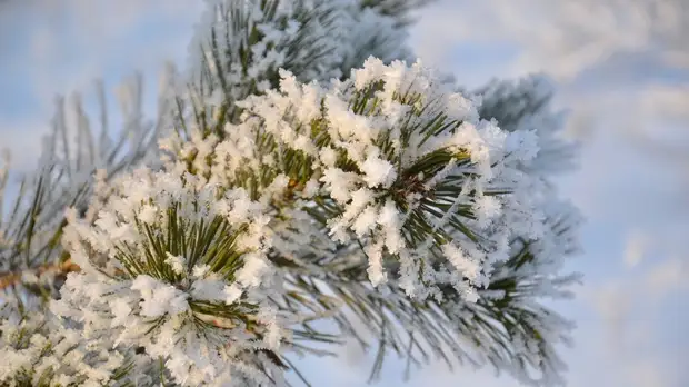 В Свердловской области ввели особый режим из-за сильных морозов