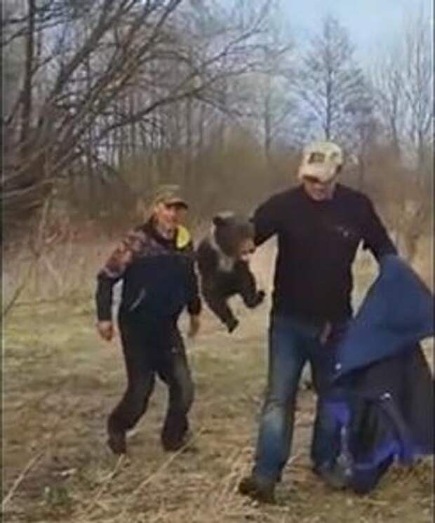 Видео: Чудовищная фотосессия с медвежонком