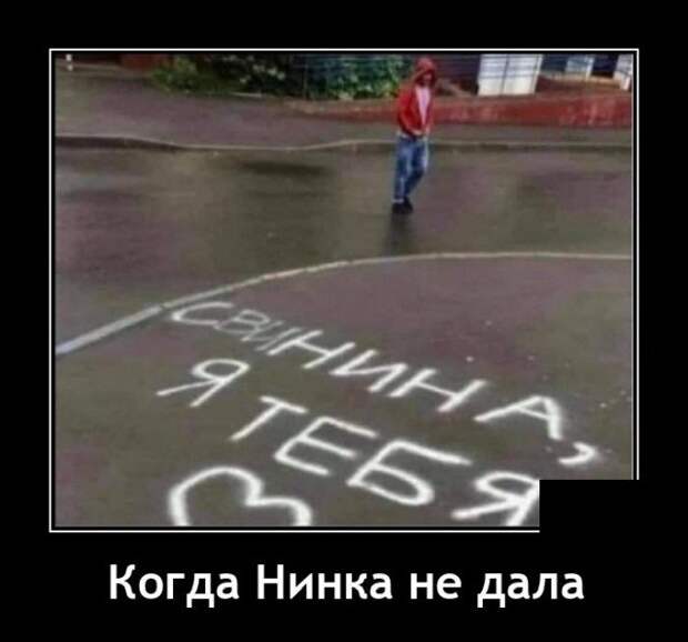 Демотиватор про свинину