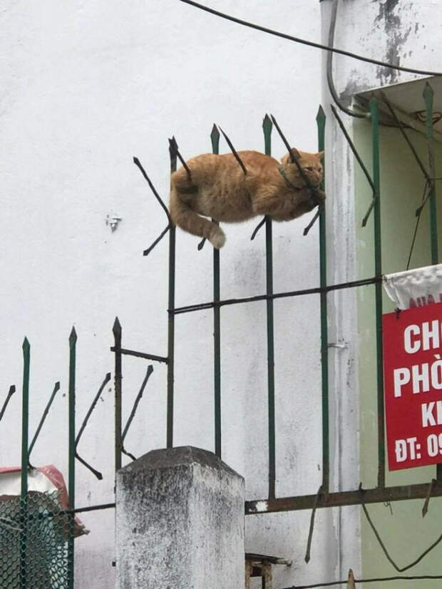 юмор