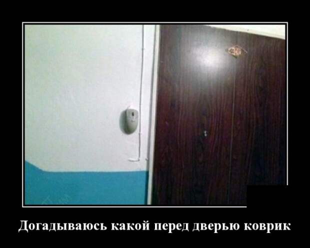 Демотиваторы (30 фото)