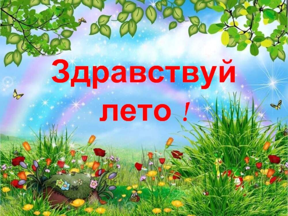 Презентация лето средняя группа