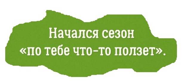 Сезон по тебе что то ползет объявляется открытым картинки