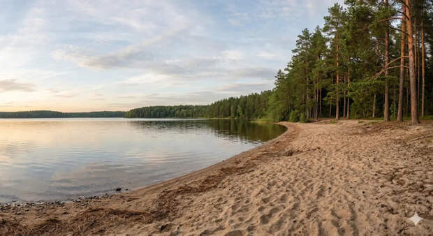 Базу отдыха "Озеро Круглое" в Химках продали за сотни миллионов: что тут будет