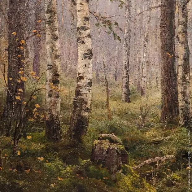 �������� ���� �����