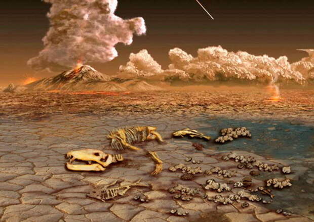 PNAS: одно из массовых вымираний на Земле произошло 300 млн лет назад