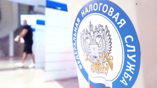 В Совфеде рассказали, какие налоги могут не платить пенсионеры